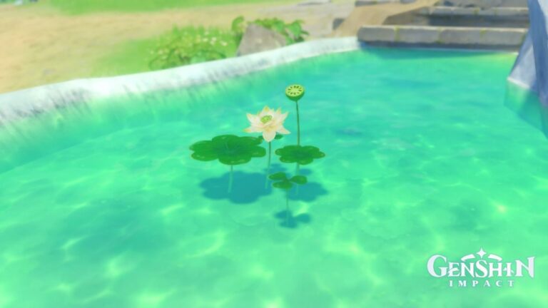 Ini 5 Lokasi Menemukan Lotus Head Genshin Impact Termudah lotus head genshin impact