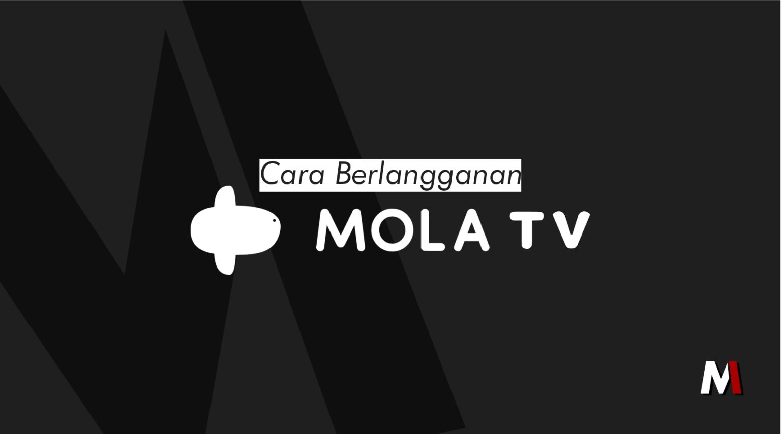 Berlangganan Mola TV